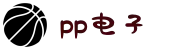 pp电子·(中国)官方网站